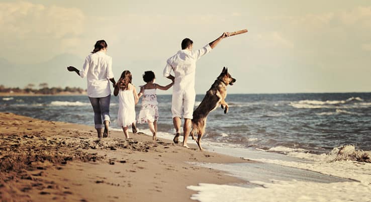 seamless integration of our canine protectors for family