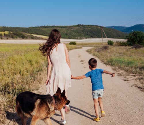 protection dog with a woman and a child