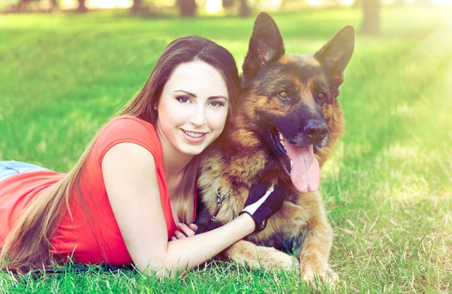 Vanguard Protection Dogs