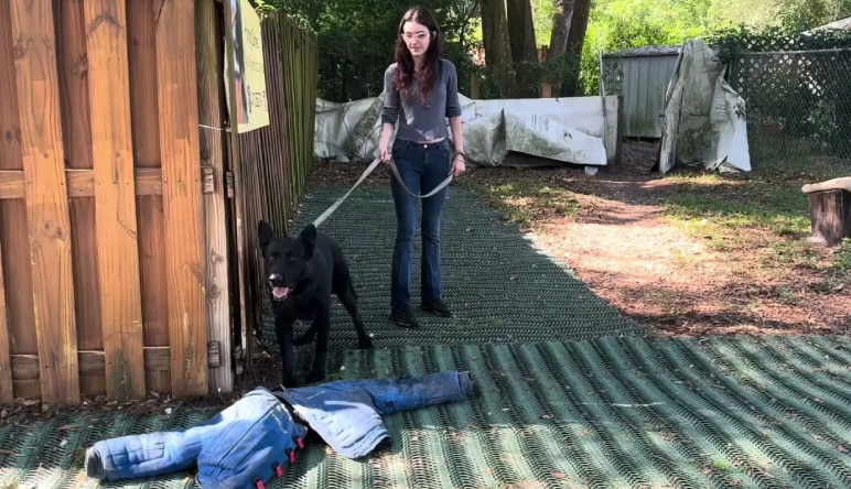Vanguard Protection Dogs