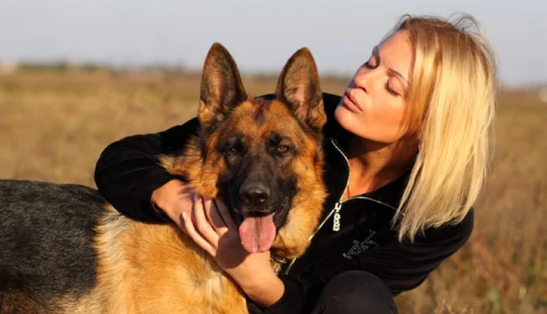 Vanguard Protection Dogs