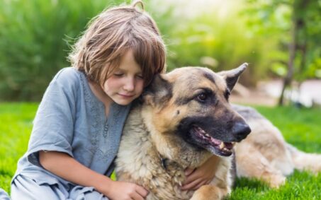 Vanguard Protection Dogs