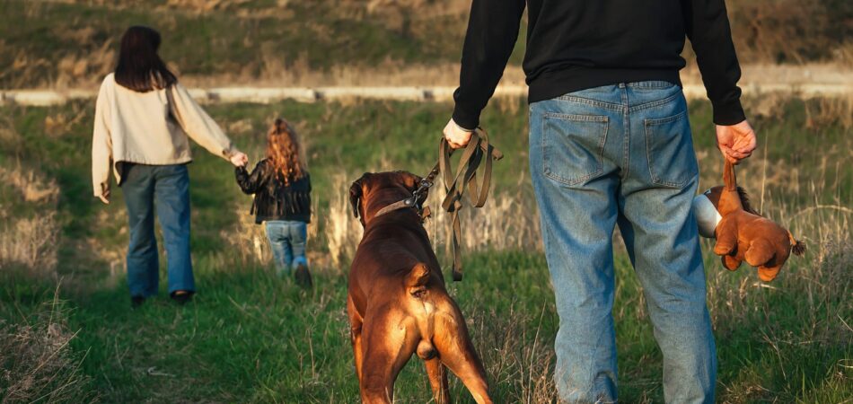 Family Dog