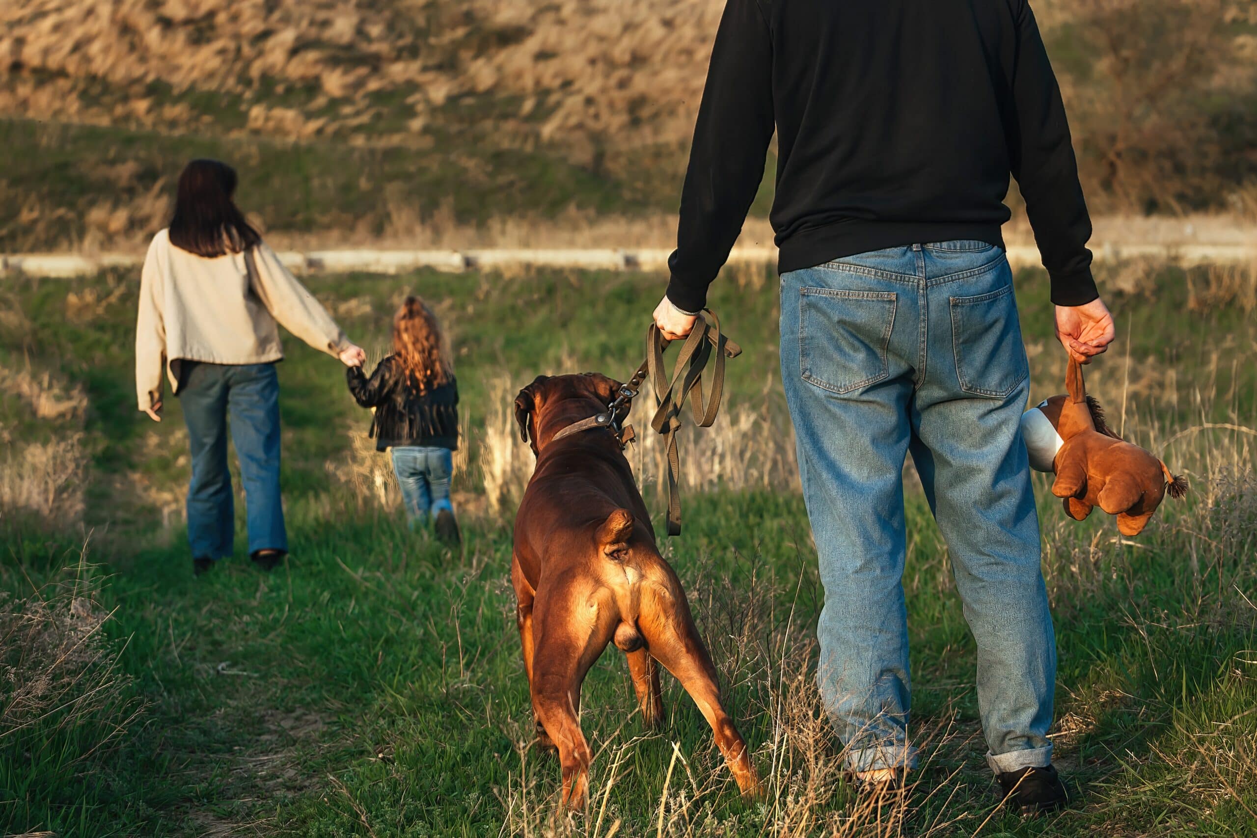 Family Dog