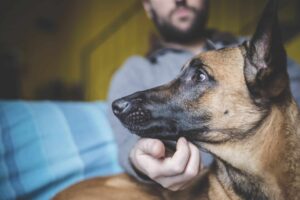 Mature man stroking pet dog