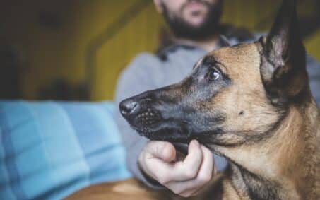 Mature man stroking pet dog