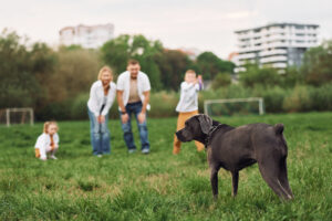 Walk with dog. Family have weekend outdoors at summertime together