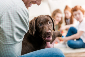 father holding labrador retriever puppy, happy family behind at home, family fun at home concept