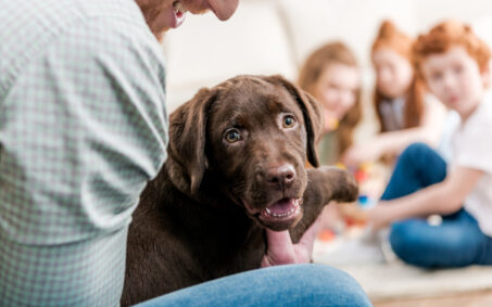 father holding labrador retriever puppy, happy family behind at home, family fun at home concept