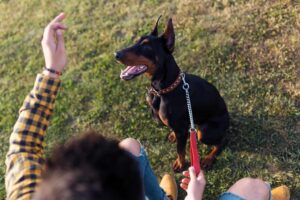 Portrait of handsome young man playing with his dog in the park.