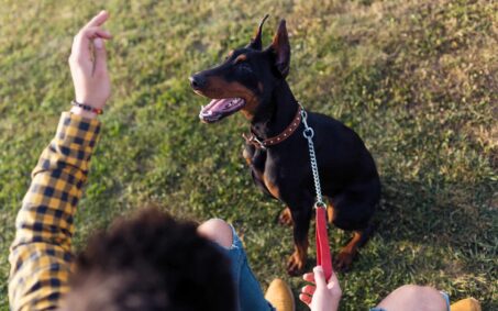 Portrait of handsome young man playing with his dog in the park.