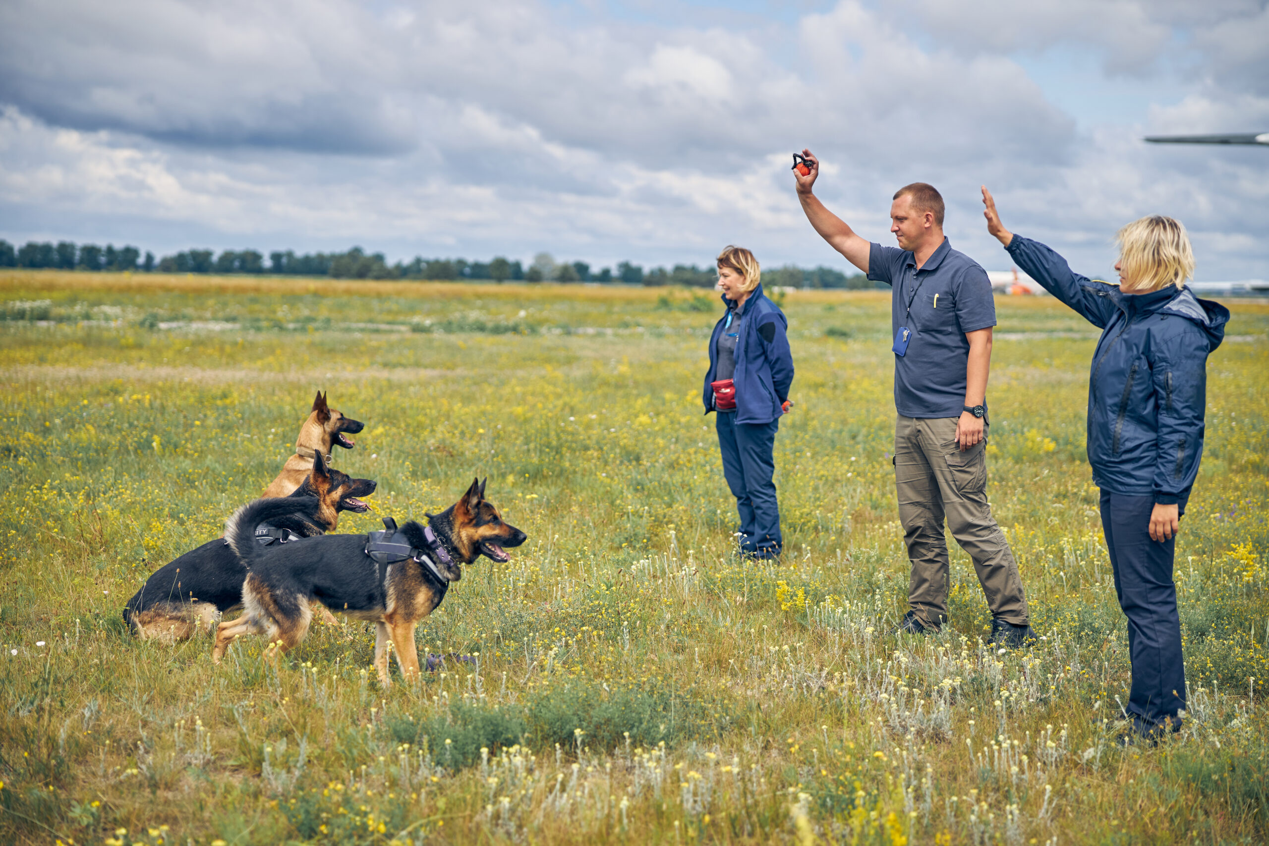 Three professional dog trainers teaching German Shepherd dogs outdoors with cloudy sky on background