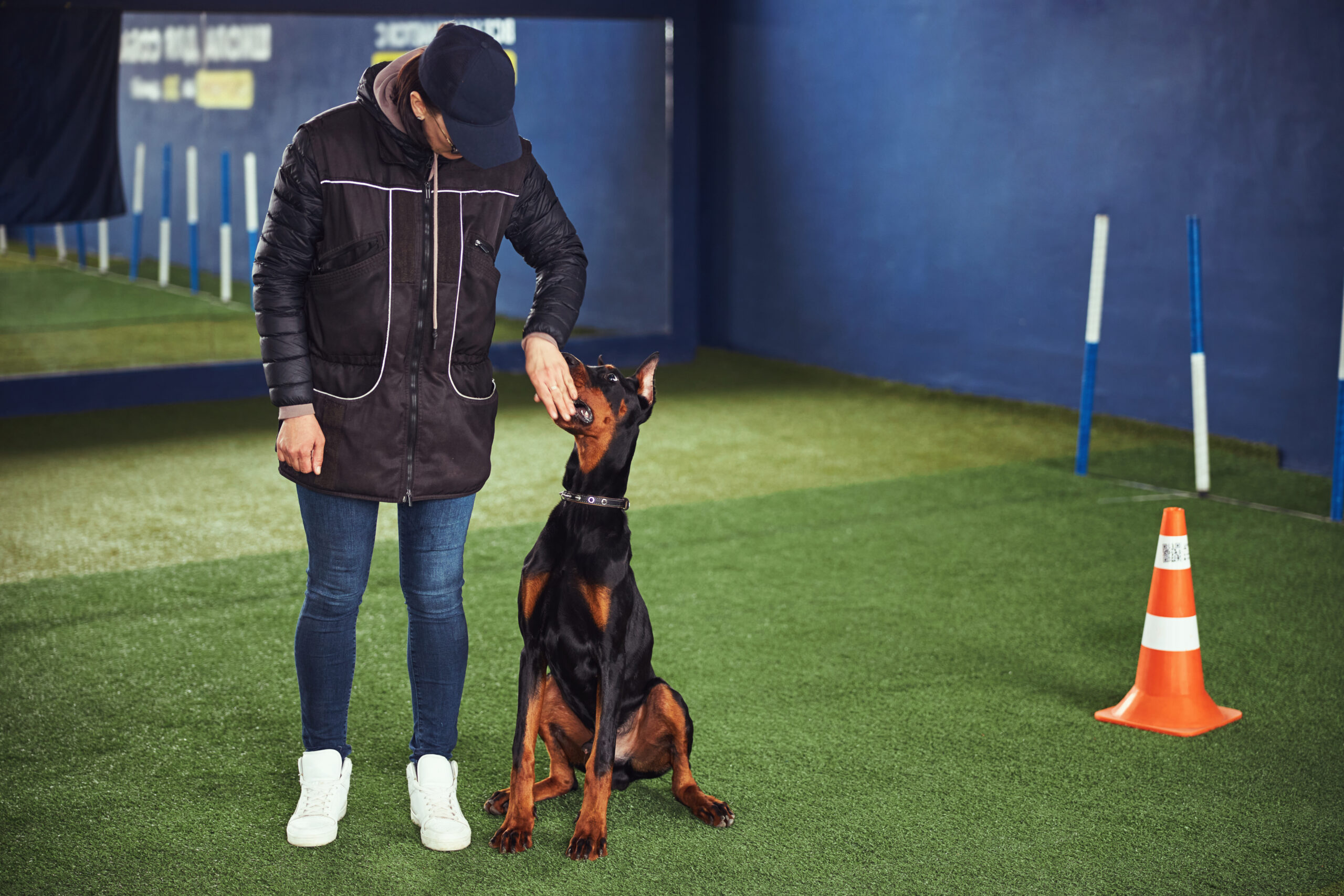 Professional female animal trainer gently holding the dog mouth shut during an obedience training lesson