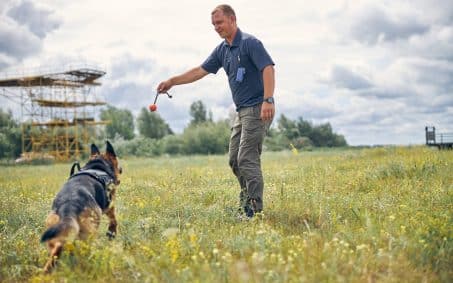Smiling professional dog trainer playing with detection dog outdoors in grassy field