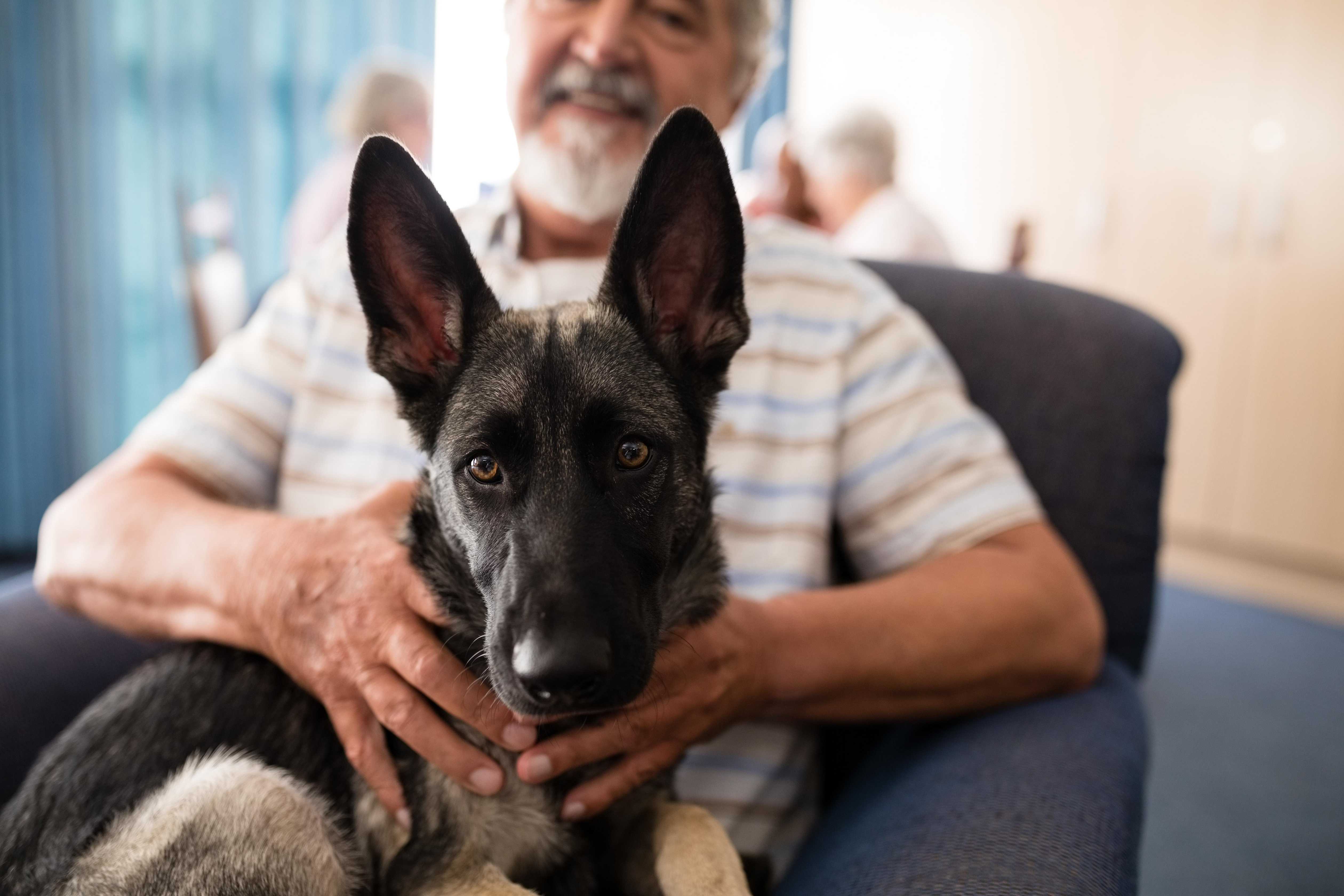 senior with his protection dog